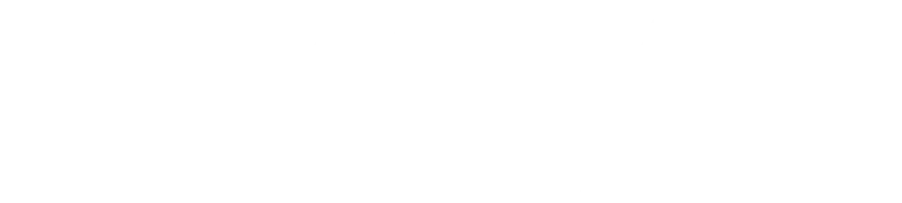 Visa payment system logo 