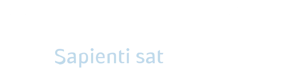 Webmoney payment system logo